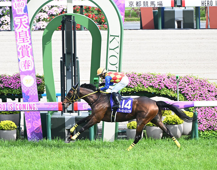 2024 Tennou sho Spring  G1  won by Teo Royal Theo Royal, the winner of the Tennou sho Spring after breaking away in the straight line, at Kyoto Racecourse on April 28, 2024.