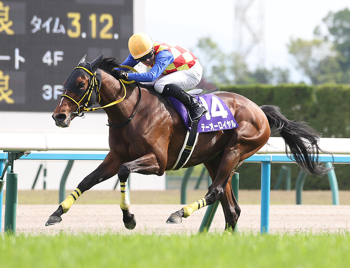 2024 Tennou sho Spring  G1  won by Teo Royal Theo Royal, the winner of the Tennou sho Spring after a strong run down the straightaway, at Kyoto Racecourse on April 28, 2024.