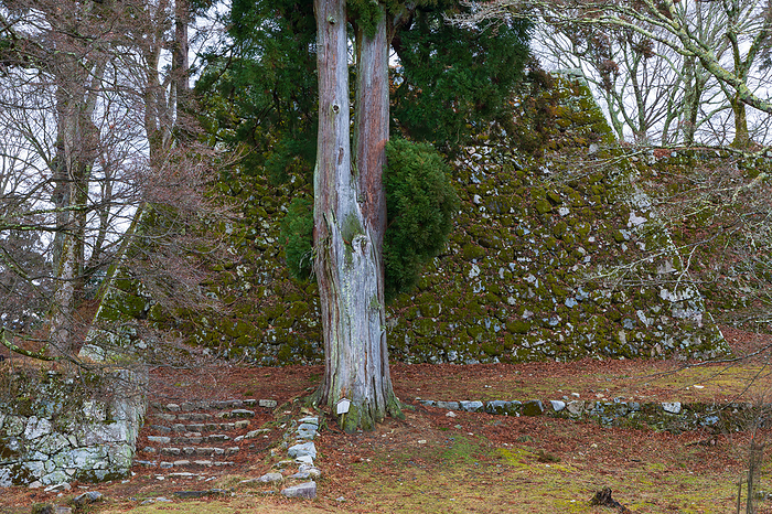 Takatori Castle Keep, Nara Pref. Japan s Three Greatest Mountain Castles Japan s 100 Greatest Castles