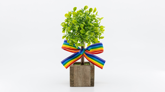 Plants and rainbow-colored ribbons Sustainable Development Goals sdgs image material