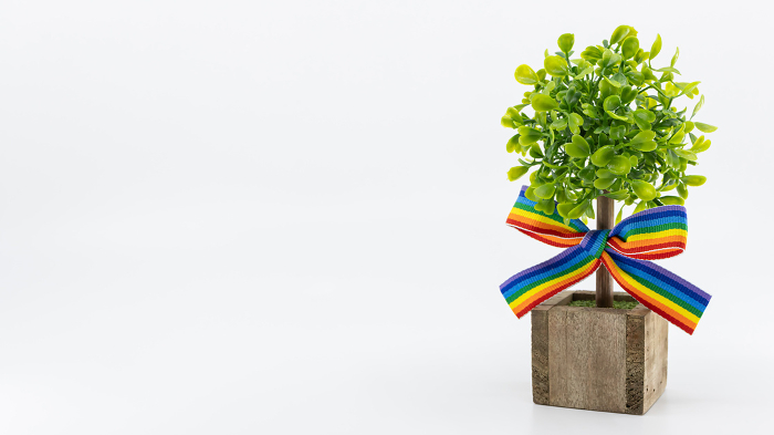 Plants and rainbow-colored ribbons Sustainable Development Goals sdgs image material
