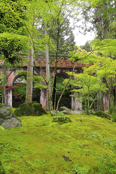 Fresh Greenery and Suijikaku Pavilion at Nanzenji Temple, Kyoto