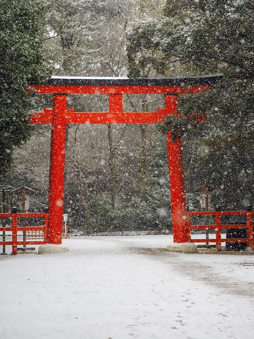 Scenery of Shimogamo Shrine with heavy snowfall