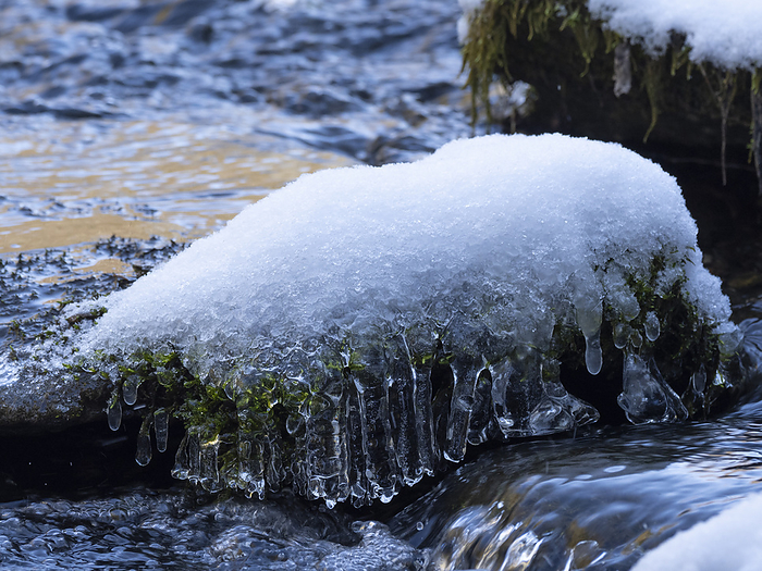 a stone in a river, is covered with moss and icicles a stone in a river, is covered with moss and icicles, by Zoonar Reiner Pechma