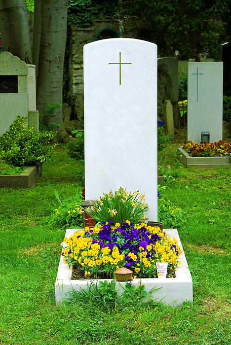 a white gravestone in the cemetery Munich Ostfriedhof a white gravestone in the cemetery Munich Ostfriedhof, by Zoonar Andreas Malli