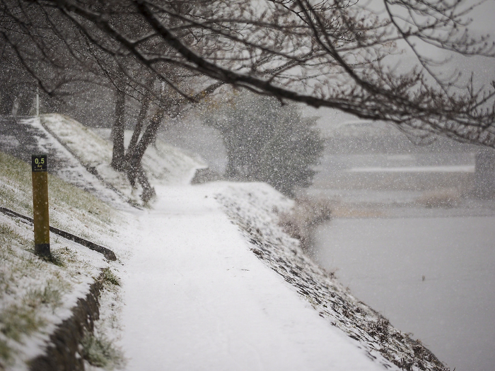 Koya River flowing through Kyoto City on a day of heavy snowfall