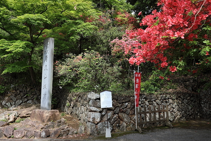 Karasawayama Castle Ruins, Yamatsutsuji