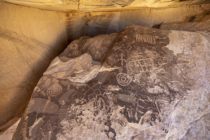 ancient petroglyphs etched into the rocks, by Cavan Images / Michael Okimoto