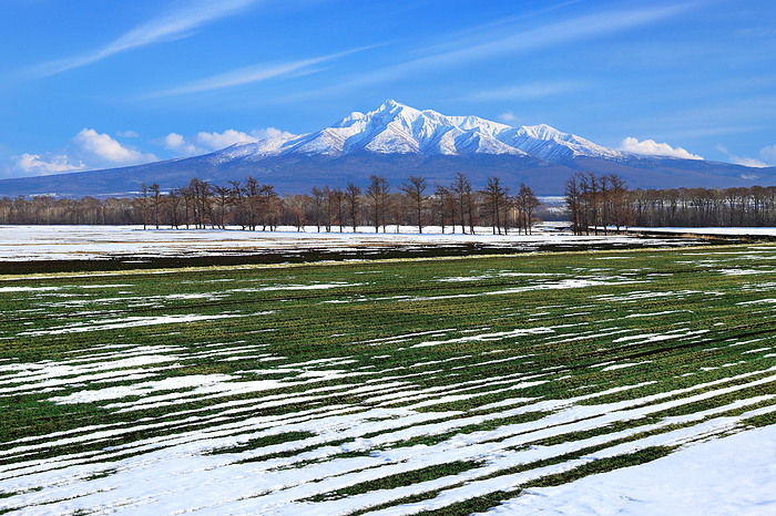 Melting snow and Shari-dake, Hokkaido, Japan