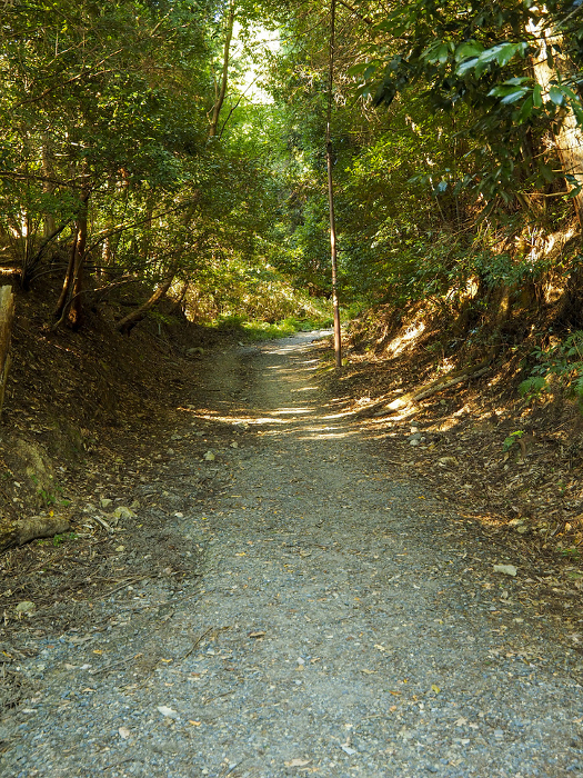 Trail on Mt. Hiei leading from Sakamoto, Otsu City