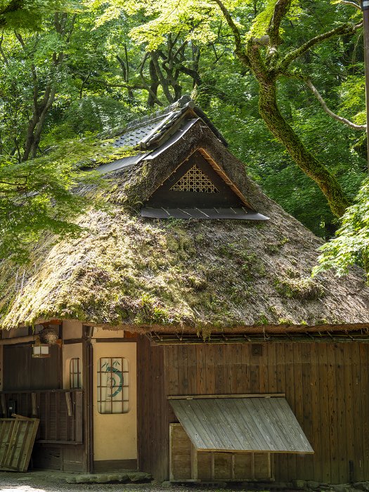 Tea house with thatched roof