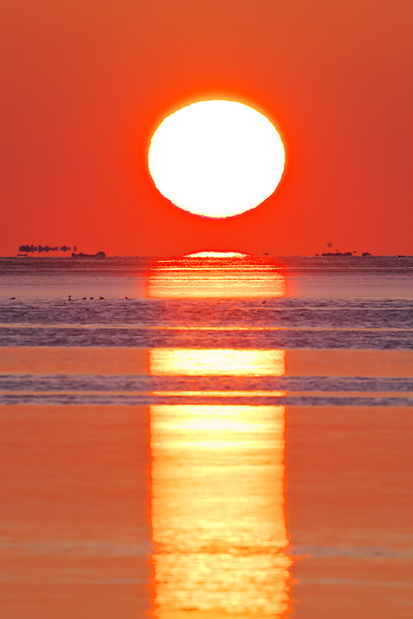 Sunrise and drift ice in Nemuro Bay, Hokkaido  7 degrees Celsius, floating ice floes are visible