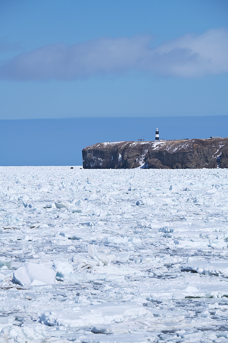 Cape Nodori, drift ice and the Sea of Okhotsk Hokkaido  1 C