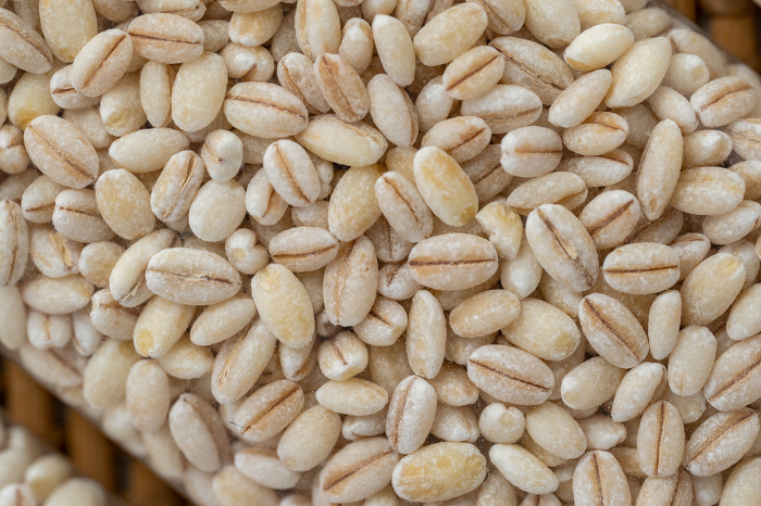 glutinous barley