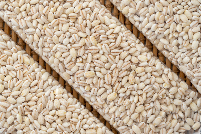 glutinous barley