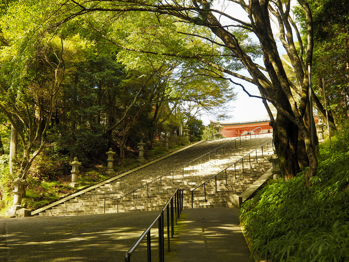Scenery of the stairs leading to the Amida Hall of Enryakuji Temple, Hieizan
