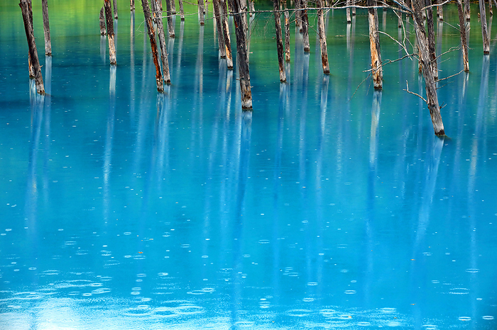 Biei Platinum Blue Pond, Hokkaido