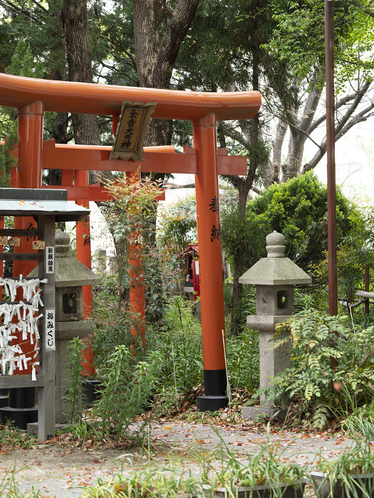 Torii of Kanayoshidaimyojin, a shrine on the grounds of Kawabe Shrine