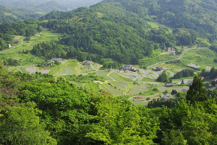 Terraced rice paddies in Murotani, Shimane Prefecture