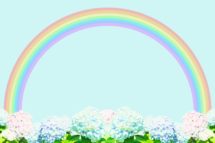 Clip art background of purple and pink hydrangea flowers and rainbow