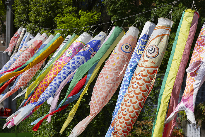 Boy s Day festival will soon be upon us Koinobori decoration flies in the wind to celebrate Children s Day in Japan on May 5, 2024.  Photo by Stanislav Kogiku AFLO 