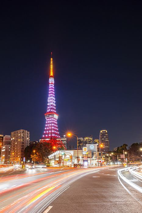 Tokyo Metropolitan Government Tokyo Tower 65th Anniversary Light-up