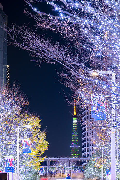 Keyakizaka Illumination and Tokyo Tower, Tokyo