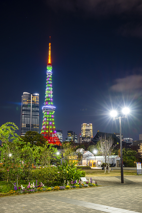 Tokyo Shiba Park and Tokyo Tower Christmas Lights