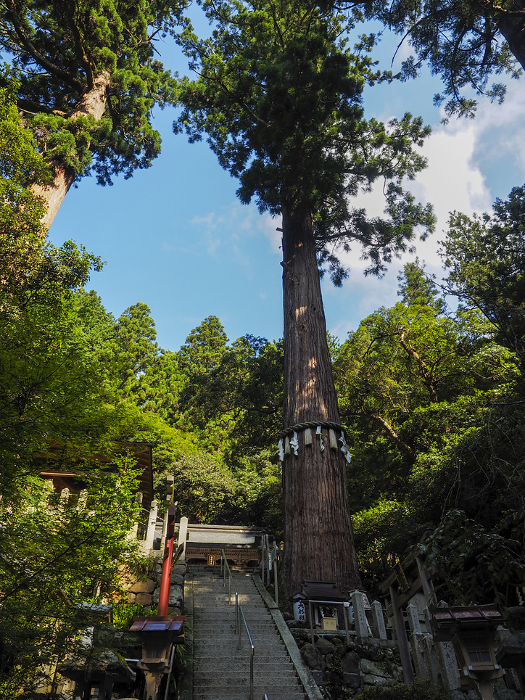 Yuki-jinja Shrine, the town shrine of Kuramadera