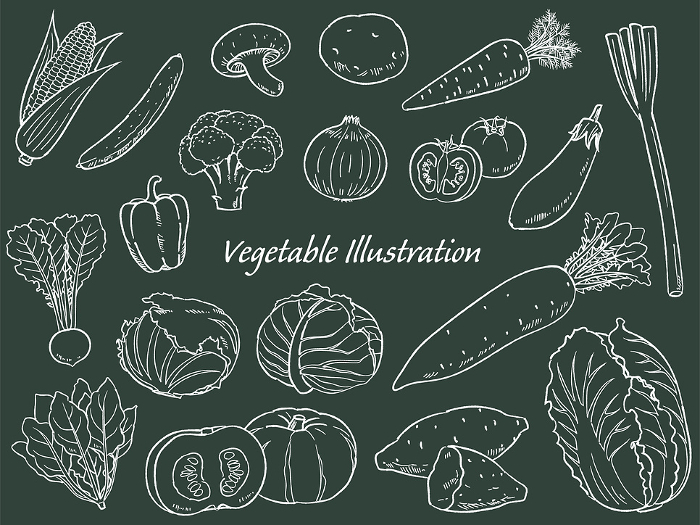 Hand-drawn vegetable set line drawing_blackboard style_vector illustration