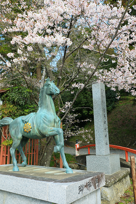 Umaryo Park Soma Nakamura Shrine Fukushima Pref.