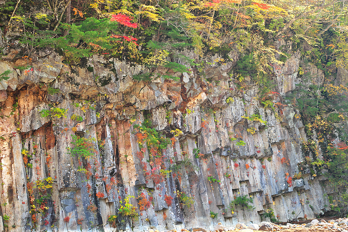 Matsukawa Valley, Iwate Prefecture, basalt rock in autumn leaves