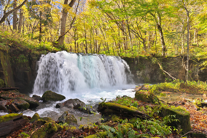 Autumn leaves of Choshi Great Falls, Oirase Stream, Aomori Prefecture