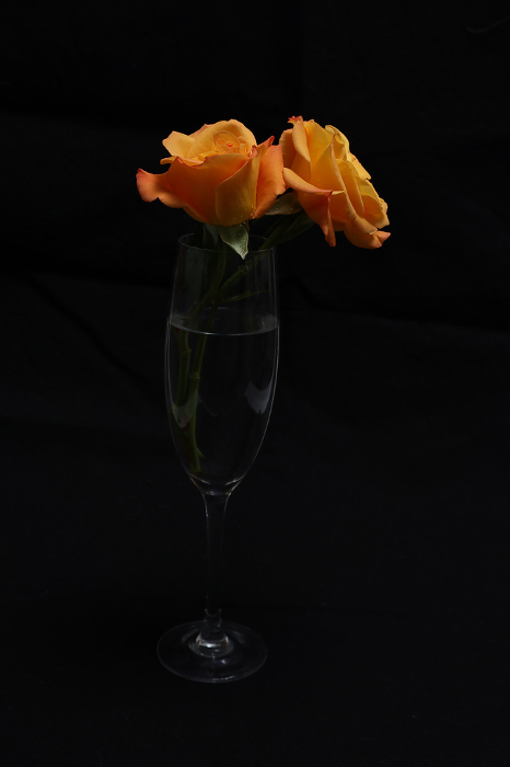Two roses in a glass on a black background