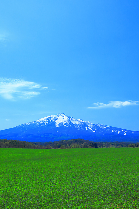 Mount Iwaki and fields of oilseed rape Aomori Pref.