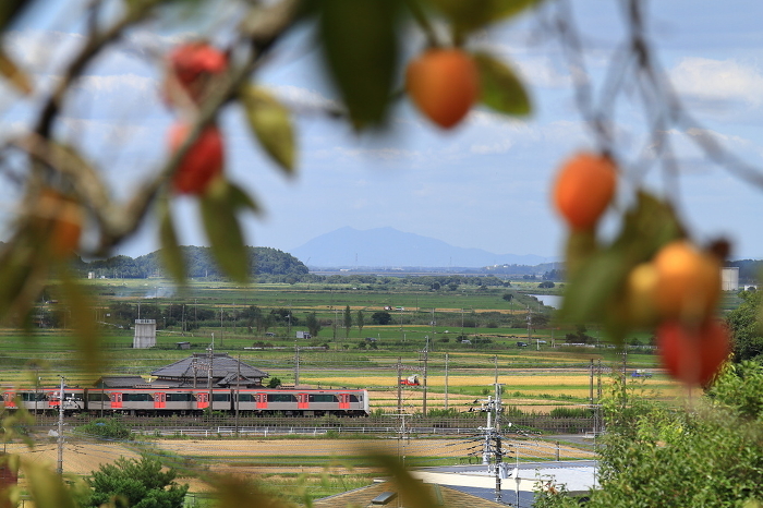 Autumn scenery along the Keisei Line with persimmon trees on the train