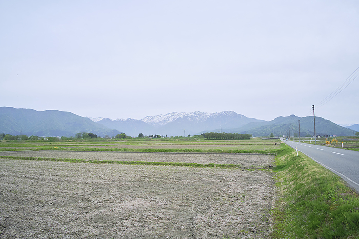 Rice cultivation in Minamiuonuma, photographed in 2024   rice fields in late April April 2024 Minamiuonuma City, Niigata Prefecture The mountain disappearing in the background is Mt.