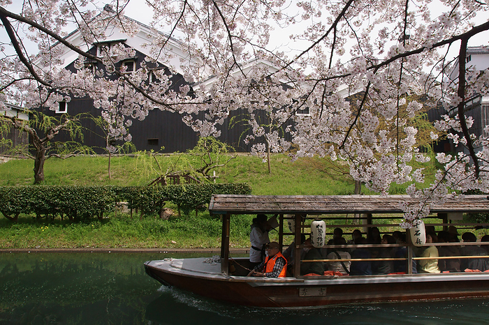 Fushimi ten stone boat and cherry blossoms Kyoto City, Kyoto Prefecture