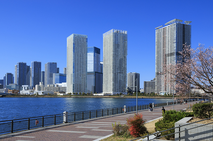 Toyosu Park and Harumi high-rise apartments Tokyo
