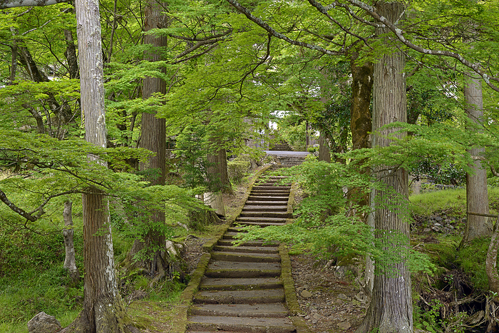 Ryujo-ji Temple, Nantan City, Kyoto Prefecture, Japan