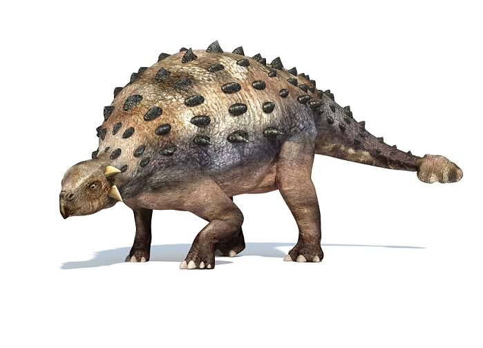 3D rendering of an Ankylosaurus dinosaur.