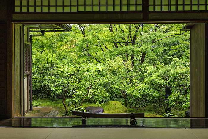 Rurikouin temple  in Kyoto  We photograph the interior of the building and table reflections during a special spring visit, when the green foliage is beautiful.