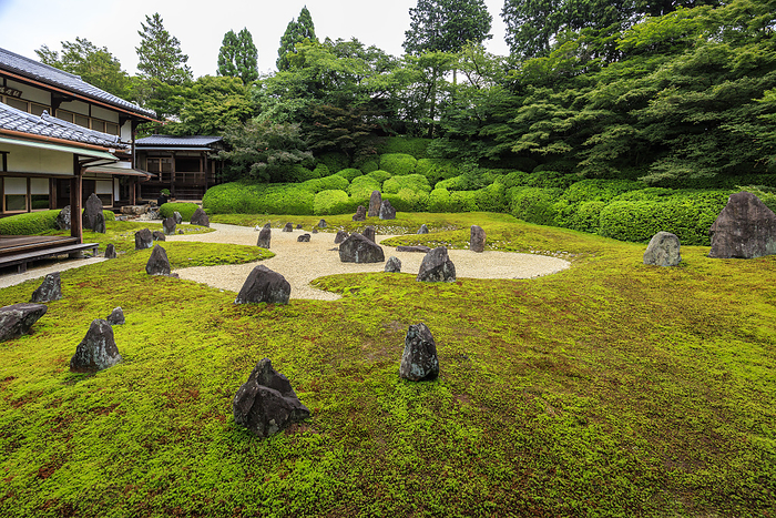 Hashinniwa, Koumyouin Temple, Toufukuji Photographing the moss garden Hashinniwa after the rain