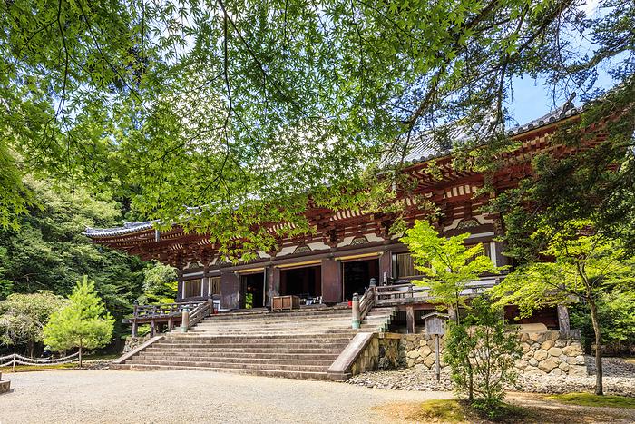 Jingo ji Temple Kondo Visited Jingoji Temple in summer