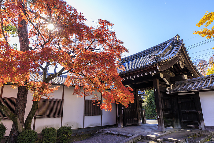 Rozanji Temple in autumn leaves