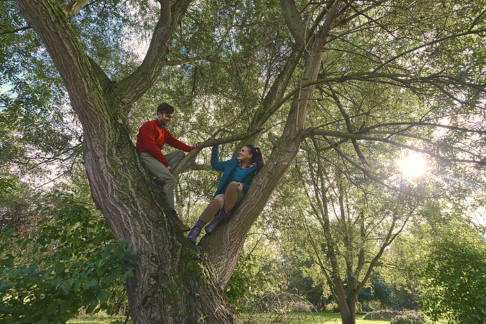 Young couple climbing tree together.