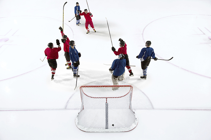 Hockey players celebrating a goal on the ice rink.