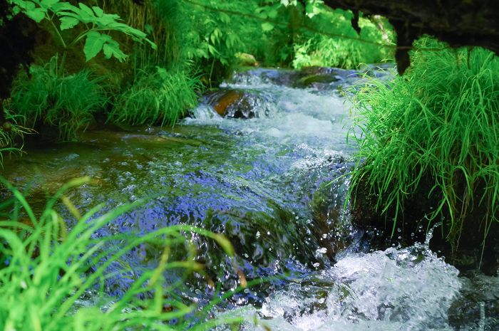 Clear Kitanizawa Stream and fresh greenery in Tottori Prefecture
