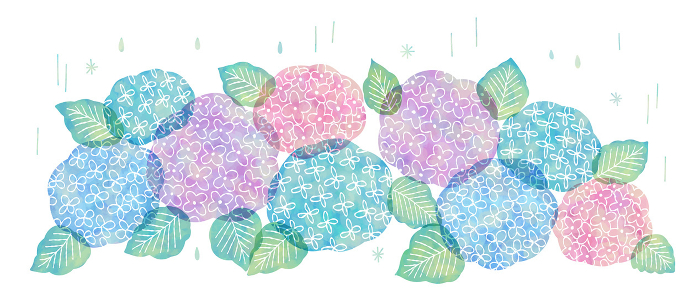 Clip art of hydrangea