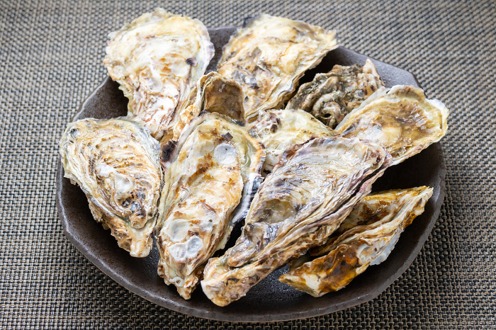 Oysters with shells.